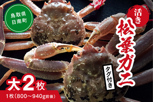 【活き】タグ付き松葉ガニ 大 2枚 (1枚800～940g前後) カニ 蟹 松葉ガニ 松葉がに かに 鳥取 高間商店 日南町
