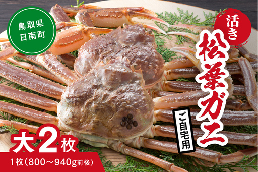 【活き】ご自宅用 松葉ガニ 大 2枚 (1枚800～940g前後) カニ 蟹 松葉ガニ 松葉がに かに 鳥取 高間商店 日南町