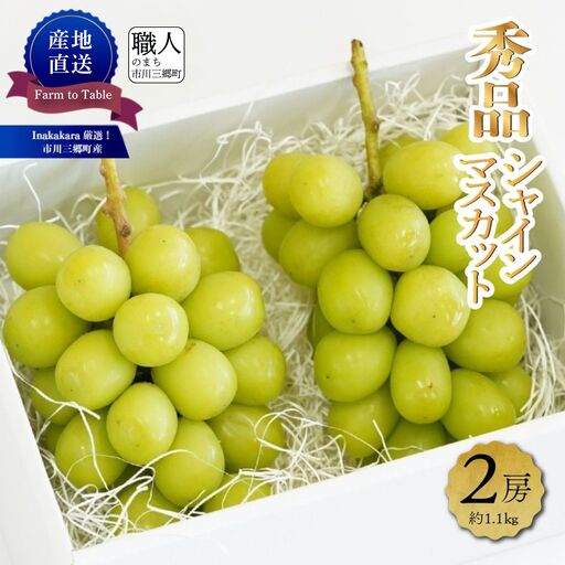 シャインマスカット 【2027年発送】秀品 山梨 2房 (約1.1kg) ぶどう 葡萄 山梨県 フルーツ 果物 くだもの ギフト 産地直送 人気  Inakakara厳選 [5839-1978]