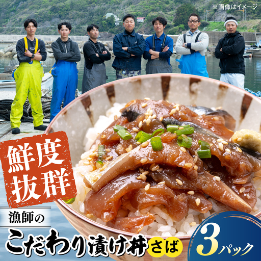 海鮮漬け丼 新鮮さばセット(120g×3P)[ALFN009]