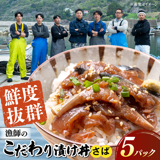 海鮮丼【さば漬け】120g×5食 漁師厳選 海鮮丼[ALFN010]