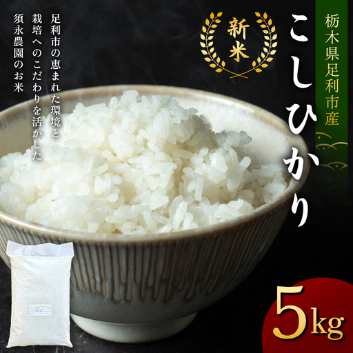 令和8年産 栃木県足利市産 新米 こしひかり5kg 精米 白米 米 こめ ごはん 食品 栃木県 足利市  F7Z-2017