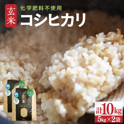 【令和8年産】特別栽培米 コシヒカリ 玄米 10kg 化学肥料不使用 / 米 福井県 あわら市産 美味しい 特別栽培米 減農薬 安心な米 旨味 甘み もっちり 冷蔵保管米 [aw010-a083]