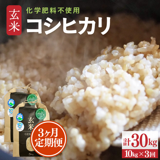 【令和8年産】定期便 ≪3ヶ月連続お届け≫ 特別栽培米 コシヒカリ 玄米 10kg×3回（計30kg） 化学肥料不使用 / 米 福井県 あわら市産 美味しい 特別栽培米 減農薬 安心な米 旨味 甘み もっちり 冷蔵保管米 [aw010-e006]