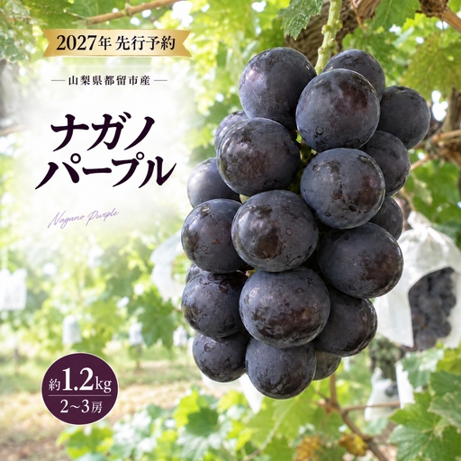 [2027年 先行予約] 山梨県 都留市産 ぶどう ナガノパープル