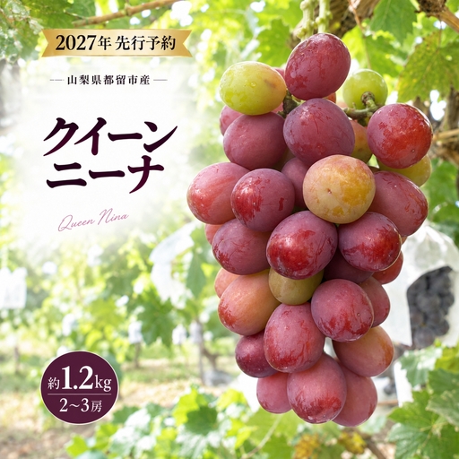 【2027年 先行予約】 山梨県 都留市産  ぶどう クイーンニーナ