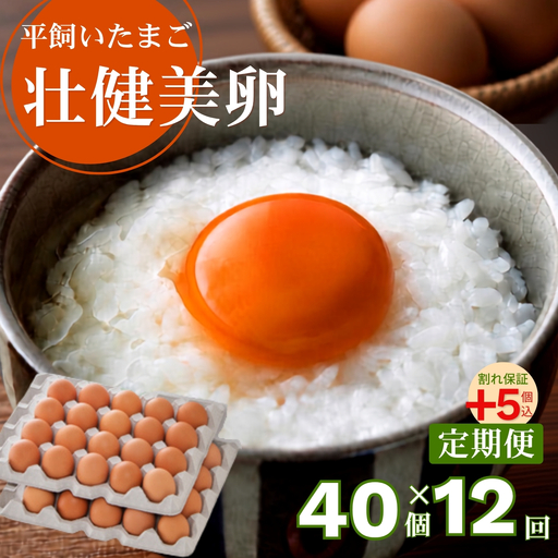【定期便12回】平飼いたまご 三瀬ひなた鶏舎 「壮健美卵」35個＋割れ保証5個（計40個）：C150-052