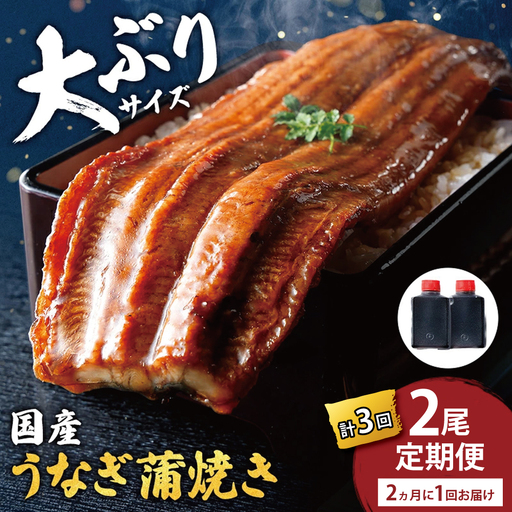 [一度食べたらやみつき!リピート多数]うなぎ蒲焼2尾 定期便 (計3回 2か月に1回お届け)[D030W]