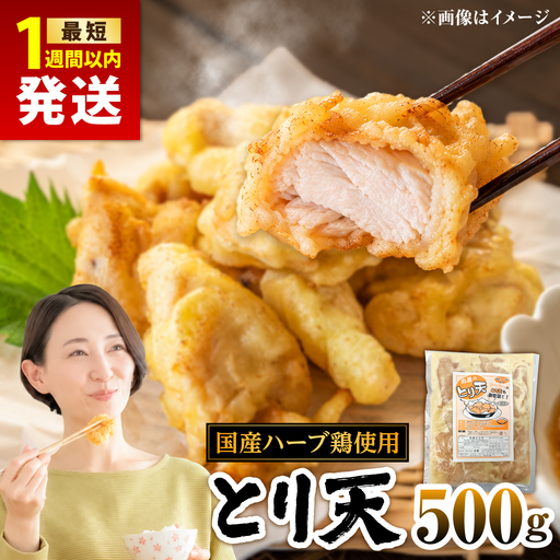 肉屋のとり天 500g×1p 日田市 / (株)吉野(デリカミート吉野)[ARFE010]