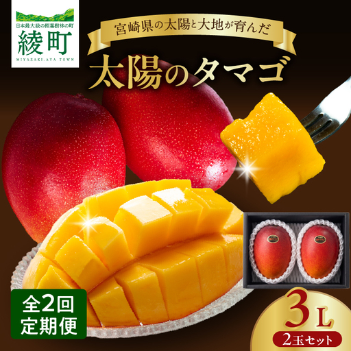 【全2回お届け】太陽のタマゴ 3L×2玉［T21］定期便 フルーツ 果物 くだもの 2027年 完熟マンゴー 国産 宮崎マンゴー マンゴージュース 南国フルーツ おすすめ デザート ギフト 贈り物 プレゼント 冷蔵 綾町 送料無料_A0113-011