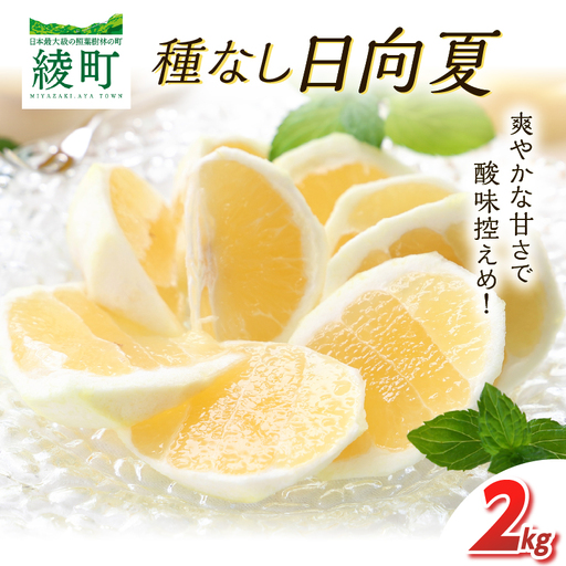 先行受付 初春の旬 日向夏 種なし 2kg ［H20］ 果物 フルーツ くだもの 2027年 柑橘 みかん 国産 フルーツサンド ジュース おやつ スイーツ デザート ジャム さわやかな甘み おすすめ ギフト 贈り物 贈答 ご褒美 おすそ分け お返し 宮崎県 綾町 送料無料_A0113-012