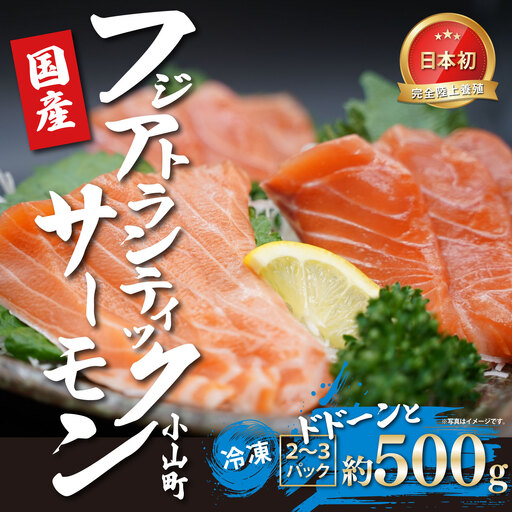 国産サーモン 冷凍 2～3P 約500g サーモン