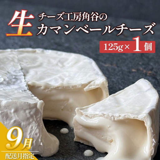 【9月配送】超熟「生」カマンベールチーズ 1個 チーズ工房角谷 KAKUYA カマンベール チーズ ちーず 地元産生乳使用 生乳 手造り クリーミー おつまみ デザート 北海道 安平町 安平