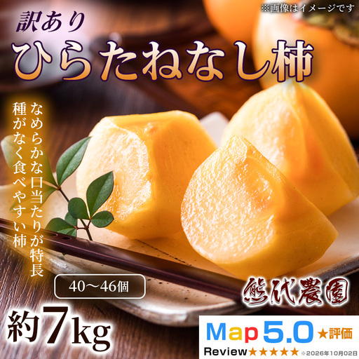 ひらたねなし柿（約7kg・40～46個・訳あり）×1箱