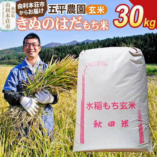 令和7年産[もち米]玄米 きぬのはだ 30kg 秋田県 由利本荘市産 五平農園