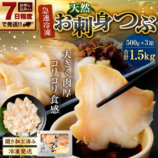 【 7日程度で発送 】 お刺身 つぶ 1.5kg （ 500g × 3P ） つぶ貝 刺身 スライス 貝類 貝 海鮮 魚介類 海産物 寿司 寿司ネタ バター焼き フライ 海鮮丼 大きい 肉厚 コリコリ 冷凍