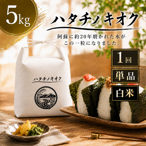 【 令和8年産 】 熊本市産ヒノヒカリ 白米 5kg ( 約33合 ） ｜ ハタチノキオク 1回 お米 米 白飯 ご飯 おにぎり 和食 国産 熊本県産 ブランド米