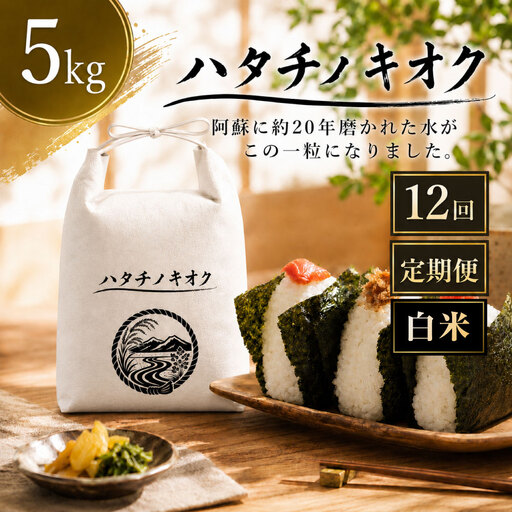 【 12回定期便 】 熊本市産 ヒノヒカリ 白米 5kg ( 約33合 ） ｜ ハタチノキオク 12回 お米 米 白飯 ご飯 おにぎり 和食 国産 熊本県産 ブランド米 定期 定期配送