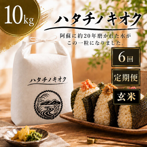 【 6回定期便 】 熊本市産 ヒノヒカリ 玄米 10kg ( 約67合 ） ｜ ハタチノキオク 6回 お米 米 白飯 ご飯 おにぎり 和食 国産 熊本県産 ブランド米 定期 定期配送