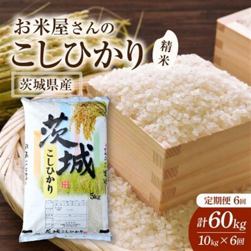 毎月定期便】お米屋さんのコシヒカリ 精米 10kg(5kg×2) 全6回【4094331