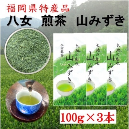 八女煎茶 山みずき 100g×3本【1788846】