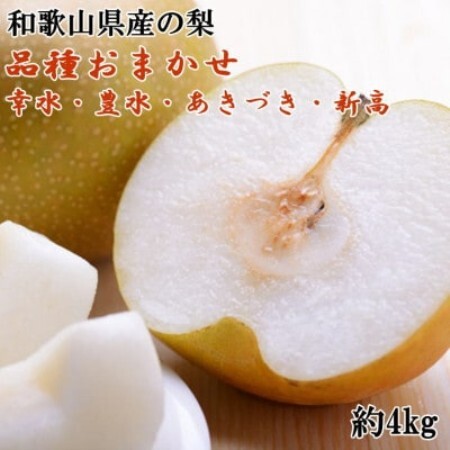 和歌山県産の梨 約4kg(品種おまかせ)(日高町)「先行予約 2027年発送分」[配送不可地域:離島]