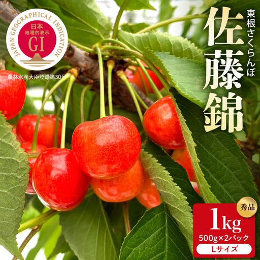 2027年産 GI東根 さくらんぼ 佐藤錦 秀品 1kg さくらんぼ