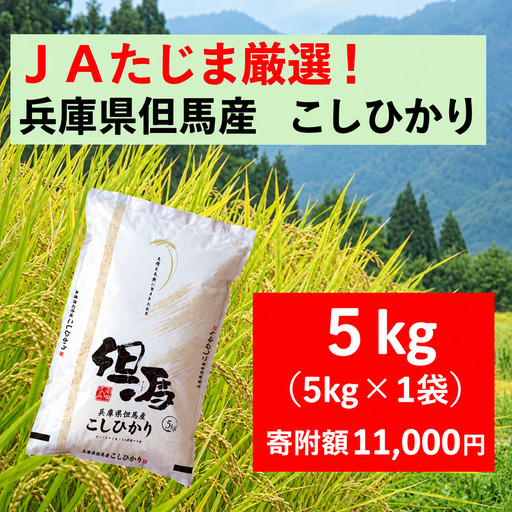 令和8年産 JAたじま厳選！ 兵庫県但馬産こしひかり 5kg（5kg×1袋）AS50CA36-1　