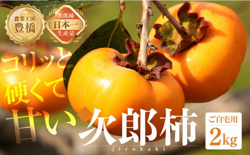 次郎柿 2kg ご自宅用