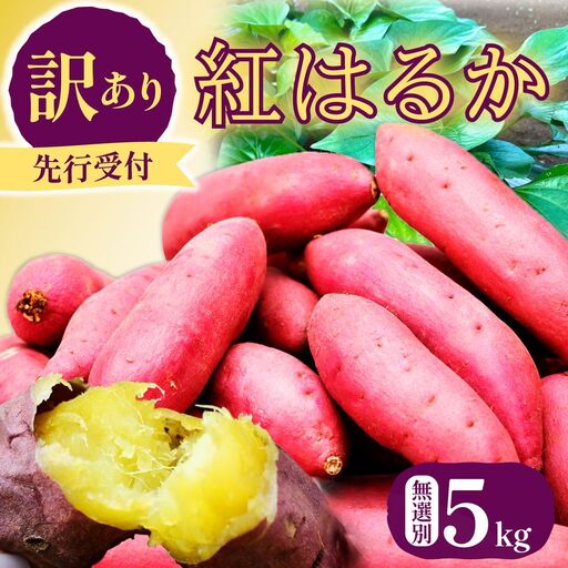 【先行受付】訳あり 紅はるか 無選別 約5kg 栃木県 茂木町