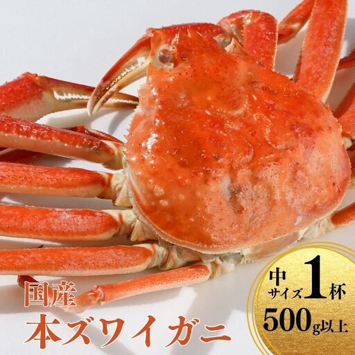 〈期間限定〉本ズワイガニ 500g以上×1杯 姿 茹で蟹 糸魚川産 鮮度が命！茹でたて直送 ずわいがに かに 蟹 ヒスイ水産 国産 日本海 新潟 新鮮 タグ付き 11月から漁開始 ギフトにも おススメ カニ ヒスイ蟹 カニ