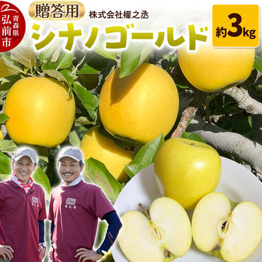 [26年10月下旬〜発送]りんご シナノゴールド[贈答用]約3kg 權之丞 青森りんご 青森県 弘前市 果物 フルーツ 林檎 リンゴ くだもの ギフト 贈り物