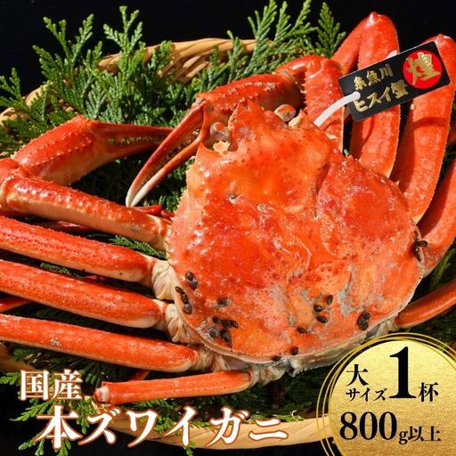 〈期間限定〉本ズワイガニ 800g以上×1杯 姿 茹で蟹 糸魚川産 鮮度が命！茹でたて直送 ずわいがに かに 蟹 ヒスイ水産 国産 日本海 新潟 新鮮 タグ付き 11月から漁開始 ギフトにも おススメ カニ ヒスイ蟹 カニ