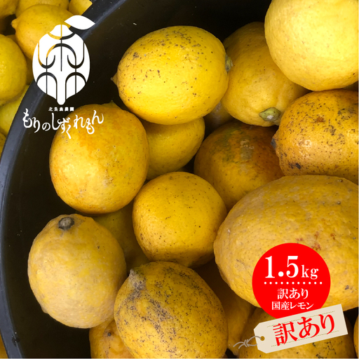 【訳あり】 数量限定 もりのしずくれもん 約1.5kg 国産 レモン 先行予約 檸檬 レモン果汁 【2027年1月上旬頃から順次発送】 【HMN027】