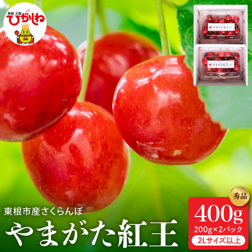 2027年産 さくらんぼ やまがた紅王 秀品 400g バラ さくらんぼ