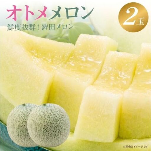 オトメメロン 緑肉 2玉 計3kg〜5kg メロン めろん