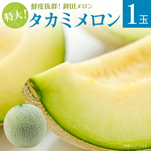 [極選大玉] タカミメロン 緑肉 1玉入り 2.5kg 以上 メロン めろん