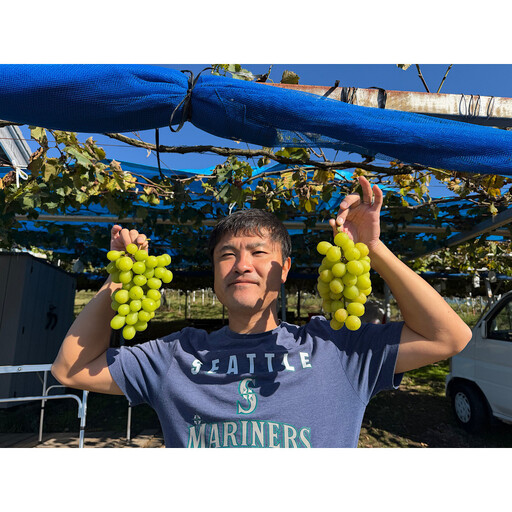有田巨峰村三木と園のあま～い露地栽培種ありシャインマスカット 約1kg（2房）［2026年10月より順次発送］