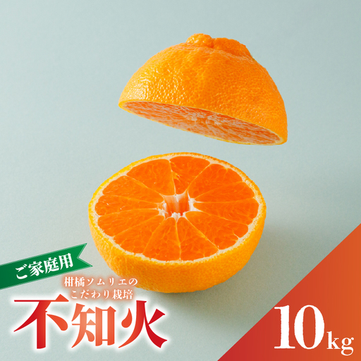 【2027年3月上旬頃から順次発送】【デコポンと同品種】不知火 家庭用 10kg でこぽん【RNK032】