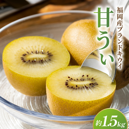 福岡産ブランド キウイ 甘うぃ 約1.5kg（10月下旬より発送）