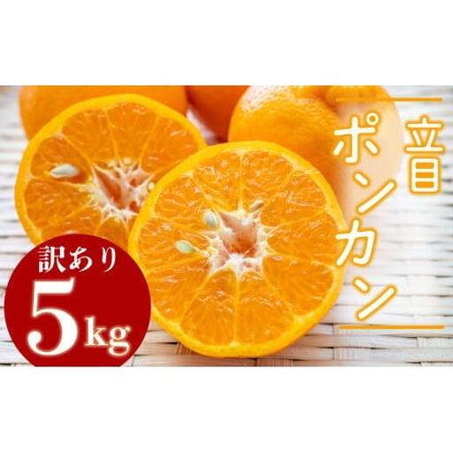 【2027年1月より発送】訳あり ぽんかん 5kg 特上品 贈答用 大小混合品 高知県産 立目ぽんかん 果物 フルーツ ボンカン 果樹園 さかもと  柑橘 みかん ミカン 有機肥料 主体 低農薬 KJS025