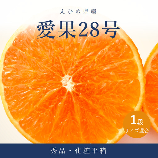 愛果28号 ( 紅まどんな と同品種 ) 化粧平箱 1箱 [2026年11月下旬より順次発送]