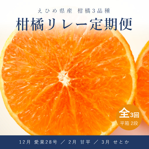 【全3回】松山柑橘リレー定期便 秀品 化粧平箱 2箱 愛果28号 (紅まどんなと同品種)･甘平･せとか【VRS013】