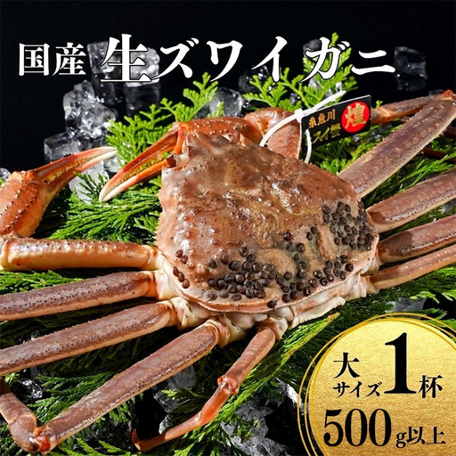 〈期間限定〉生 本ズワイガニ 500g以上×1杯 姿 生きたまま発送 生蟹 糸魚川産 鮮度抜群！獲れたて直送 ずわいがに かに 蟹 ヒスイ水産 国産 日本海 新潟 新鮮 タグ付き 11月から漁開始 ギフトにも おススメ カニ ヒスイ蟹