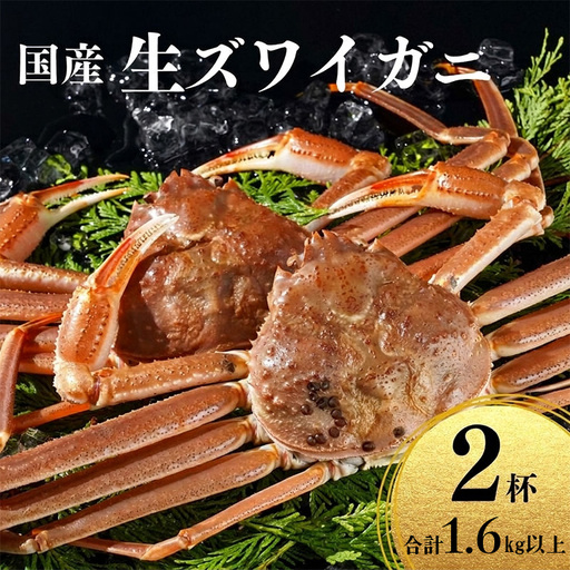 〈期間限定〉生 本ズワイガニ 800g以上×2杯 計1.6kg以上 姿 生きたまま発送 生蟹 糸魚川産 鮮度抜群！獲れたて直送 ずわいがに かに 蟹 ヒスイ水産 国産 日本海 新潟 新鮮 タグ付き 11月から漁開始 ギフトにも おススメ カニ ヒスイ蟹