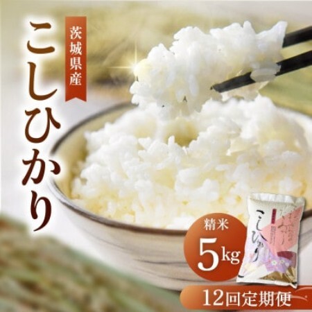 【毎月定期便】茨城県産 コシヒカリ 精米5kg | こしひかり 茨城県かすみがうら市全12回【4094323】