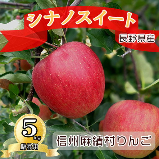 [ふるさと納税][2026年 令和8年産]長野 麻績村 りんご 期間限定 贈答品5kg ギフト 自宅用 贈り物 自宅用にも ギフトにも シナノスイート 聖弘園 国産 果物 フルーツ 林檎