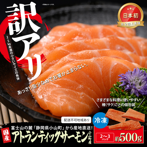 サーモン 訳あり 冷凍 2〜3P 約500g 国産サーモン