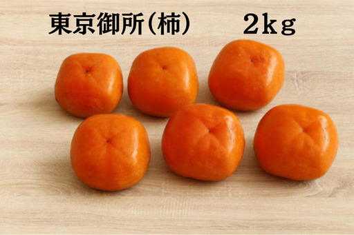 「市川さんの柿」東京御所 2kg