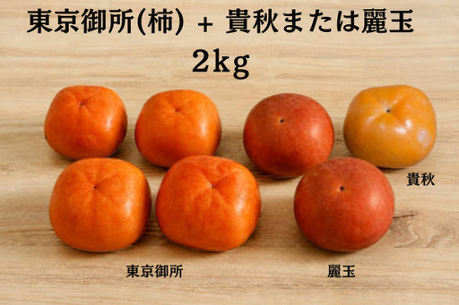 「市川さんの柿」東京御所 +貴秋または麗玉2kg